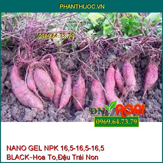 NANO GEL NPK 16,5-16,5-16,5 BLACK –Nuôi Hoa To, Đậu Trái Non, Bén Rễ Nhanh