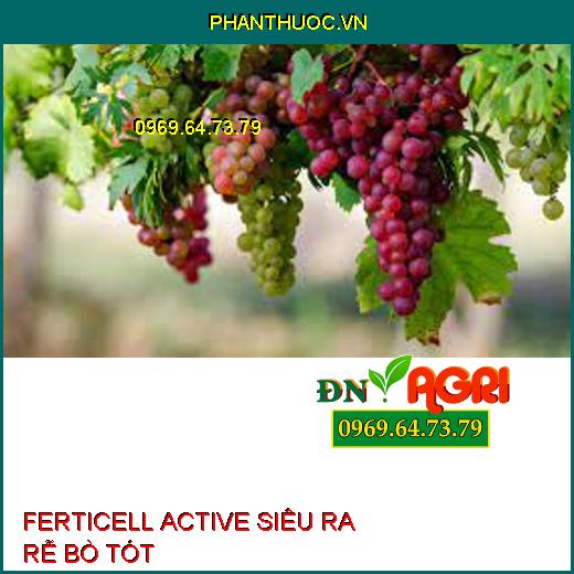 FERTICELL ACTIVE SIÊU RA RỄ BÒ TÓT –Tăng Trưởng Nhanh, Năng Suất, Ngừa Thối Rễ