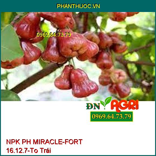 NPK PH MIRACLE-FORT 16.12.7-Ngăn Nghẽn Đòng, To Trái, Chắc Cuốn, Chống Rụng Trái