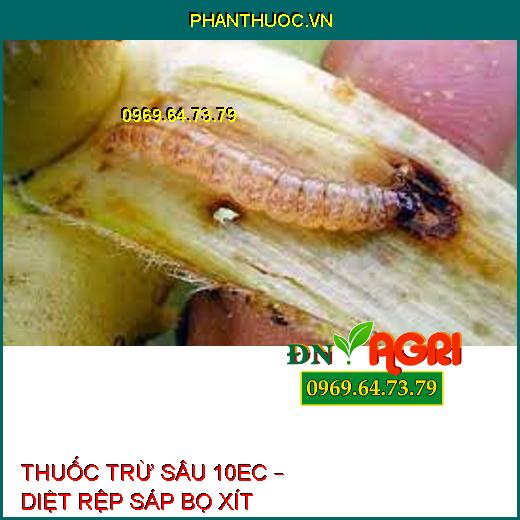 THUỐC TRỪ SÂU 10EC – DIỆT RỆP SÁP BỌ XÍT