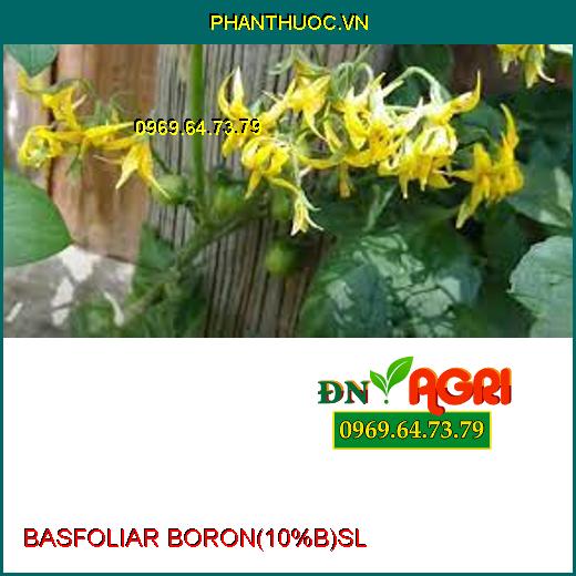 BASFOLIAR BORON (10%B) SL –Ra Hoa Đều, Hạn Chế Rụng Trái Non, Tăng Đậu Qủa