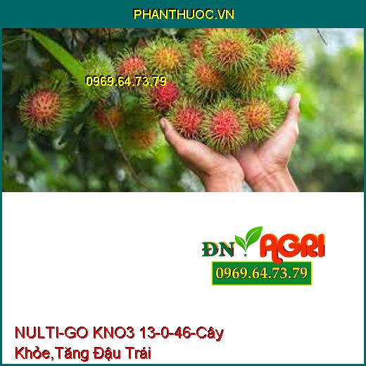 NULTI-GO KNO3 13-0-46-Cây Khỏe, Cứng Chắc, Tăng Đậu Trái, Trái Lớn Nhanh