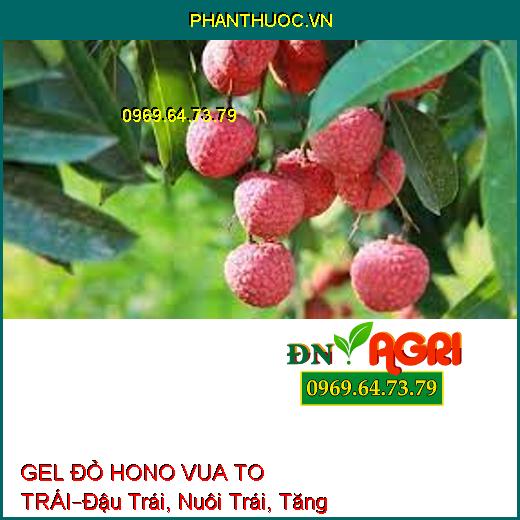 GEL ĐỎ HONO VUA TO TRÁI –Đậu Trái, Nuôi Trái, Tăng Độ Ngọt, Bóng Trái