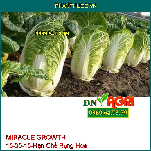 MIRACLE GROWTH 15-30-15-Hạn Chế Rụng Hoa, Siêu Ra Rễ, Đâm Chồi, Đẻ Nhánh