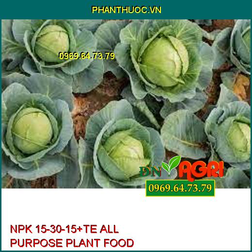 NPK 15-30-15+TE ALL PURPOSE PLANT FOOD-Đâm Chồi Đẻ Nhánh, Chống Rụng Hoa, Trái