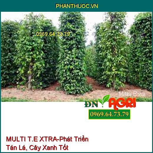 MULTI T.E XTRA-Phát Triển Tán Lá, Cây Xanh Tốt, Tăng Quang Hợp