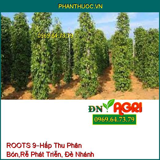 ROOTS 9–Hấp Thu Phân Bón, Rễ Phát Triễn, Đẻ Nhánh, Giảm Sâu Bệnh, Tăng Năng Suất