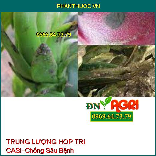 PHÂN BÓN LÁ TRUNG LƯỢNG HOP TRI CASI –Chống Sâu Bệnh, Ngăn Ngừa Sượng, Nám Trái