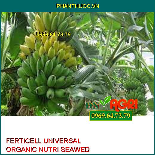 FERTICELL UNIVERSAL ORGANIC NUTRI SEAWED-Hạn Chế Tuyến Trùng, Chồi Khỏe, Mát Hoa