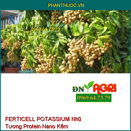 FERTICELL POTASSIUM Nhũ Tương Protein Nano Kẽm-Phục Hồi Đất, Kích Kháng Nấm Bệnh