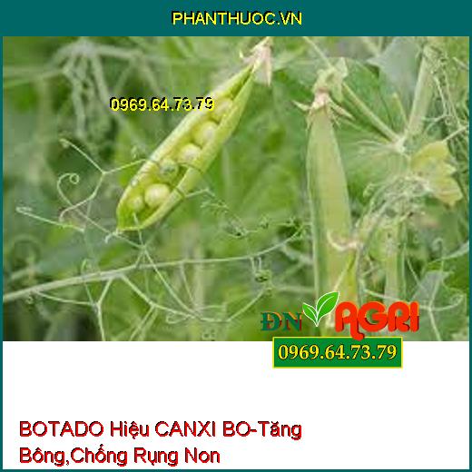 BOTADO Hiệu CANXI BO-Tăng Bông, Chống Rụng Non, Hạn Chế Nấm Bệnh