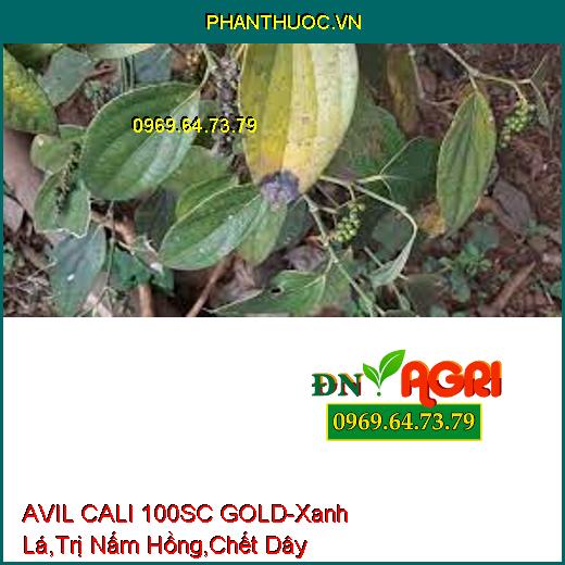 AVIL CALI 100SC GOLD-Nhanh Chống Phục Hôi Cây, Xanh Lá, Trị Nấm Hồng, Chết Dây