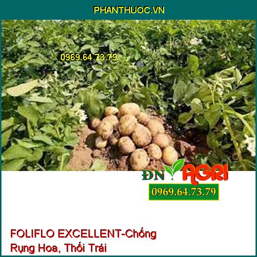 FOLIFLO EXCELLENT-Giúp Chống Rụng Hoa, Thối Trái, Tăng Năng Suất, Chất Lượng