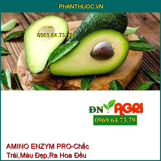 PHÂN BÓN HỮU CƠ KHOÁNG AMINO ENZYM PRO-Chắc Trái , Lên Màu Đẹp, Ra Hoa Đều, Tăng Năng Suất