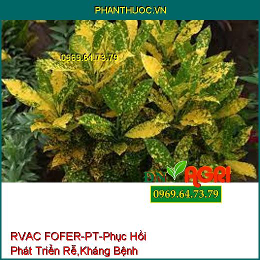 RVAC FOFER-PT-Phục Hồi Phát Triển Rễ, Kháng Bệnh Hại, Vàng Lá, Xu Đọt, Thối Trái