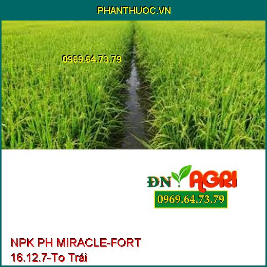 NPK PH MIRACLE-FORT 16.12.7-Ngăn Nghẽn Đòng, To Trái, Chắc Cuốn, Chống Rụng Trái