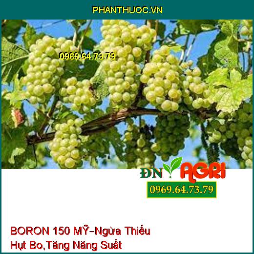 BORON 150 MỸ – Ngăn Ngừa Thiếu Hụt Bo, Tăng Năng Suất, Chất Lượng Cây Trồng