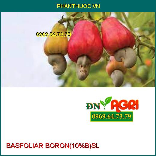 BASFOLIAR BORON (10%B) SL –Ra Hoa Đều, Hạn Chế Rụng Trái Non, Tăng Đậu Qủa