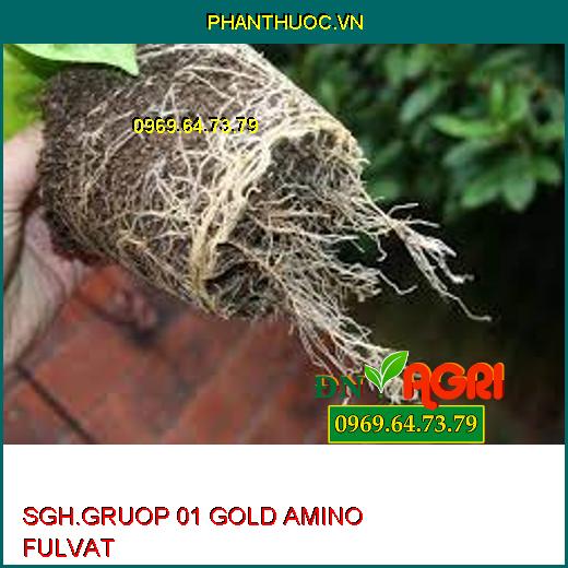 SGH.GRUOP 01 GOLD AMINO FULVAT-Kích Rễ Non Phát Triển, Ngăn Nghẹt Rễ, Tăng Độ PH