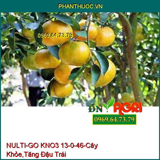 NULTI-GO KNO3 13-0-46-Cây Khỏe, Cứng Chắc, Tăng Đậu Trái, Trái Lớn Nhanh