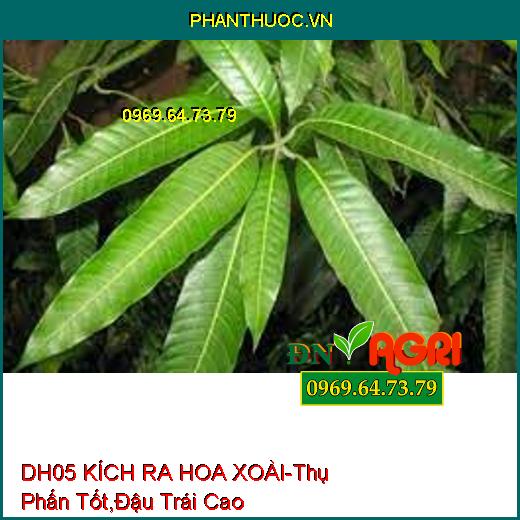 DH05 KÍCH RA HOA XOÀI-Thụ Phấn Tốt, Đậu Trái Cao, Hạn Chế Cách Niên, An Toàn