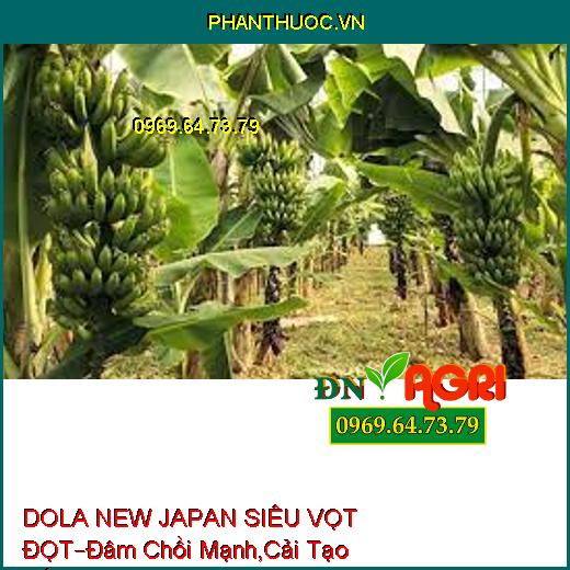 DOLA NEW JAPAN SIÊU VỌT ĐỌT–Đâm Chồi Mạnh, Bung Đọt Hàng Loạt, Cải Tạo Đất