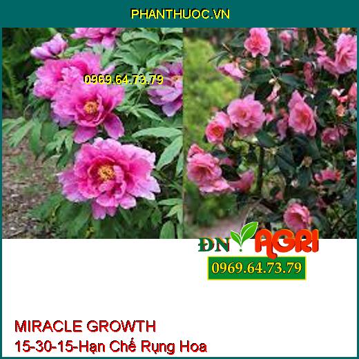 MIRACLE GROWTH 15-30-15-Hạn Chế Rụng Hoa, Siêu Ra Rễ, Đâm Chồi, Đẻ Nhánh