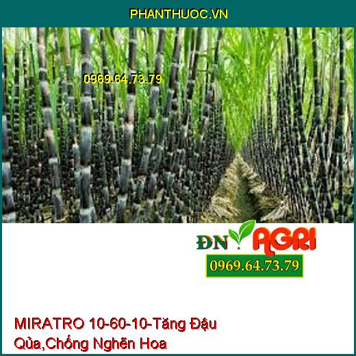 MIRATRO 10-60-10-Tăng Đậu Qủa, Hạ Phèn, Chống Nghẽn Hoa, Rễ Phát Triễn Nhanh