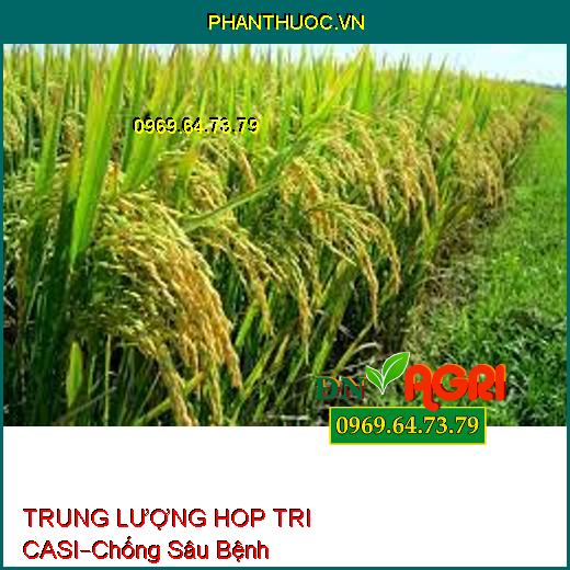 PHÂN BÓN LÁ TRUNG LƯỢNG HOP TRI CASI –Chống Sâu Bệnh, Ngăn Ngừa Sượng, Nám Trái