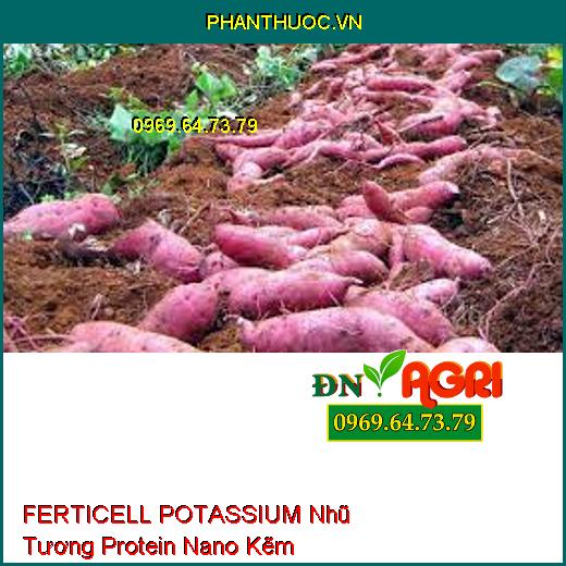 FERTICELL POTASSIUM Nhũ Tương Protein Nano Kẽm-Phục Hồi Đất, Kích Kháng Nấm Bệnh