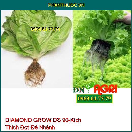 DIAMOND GROW DS 90-Kích Thích Đọt Đẻ Nhánh, Phát Triển, Nở Bụi, Lá Xanh