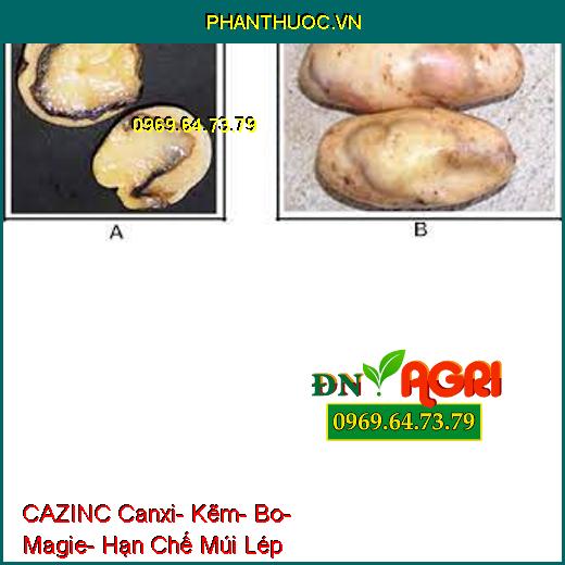 CAZINC Canxi- Kẽm- Bo- Magie- Hạn Chế Múi Lép, Sượng Trái, Tăng Đậu Trái