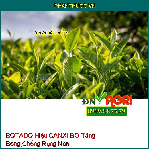 BOTADO Hiệu CANXI BO-Tăng Bông, Chống Rụng Non, Hạn Chế Nấm Bệnh