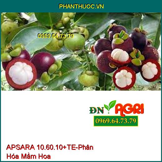 APSARA 10.60.10+TE-Phân Hóa Mầm Hoa Mạnh, Siêu Hoa Ra Đồng Loạt, Cây Cứng Cáp