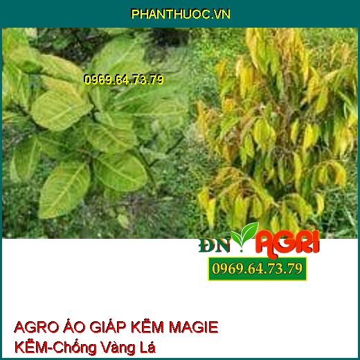 AGRO ÁO GIÁP KẼM MAGIE KẼM-Chống Hiện Tượng Vàng Lá, Rụng Trái, Tăng Năng Suất