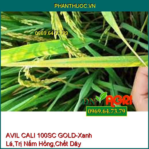 AVIL CALI 100SC GOLD-Nhanh Chống Phục Hôi Cây, Xanh Lá, Trị Nấm Hồng, Chết Dây