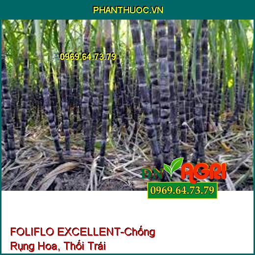 FOLIFLO EXCELLENT-Giúp Chống Rụng Hoa, Thối Trái, Tăng Năng Suất, Chất Lượng