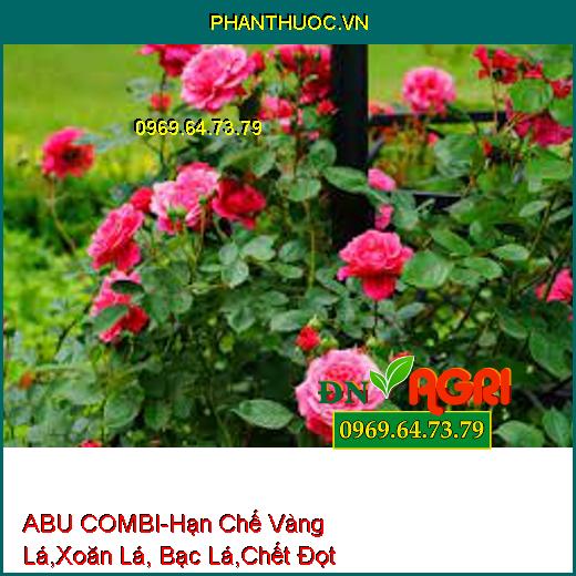 ABU COMBI-Hạn Chế Vàng Lá, Xoăn Lá, Bạc Lá, Chết Đọt Non, Phục Hồi Cây Nhanh