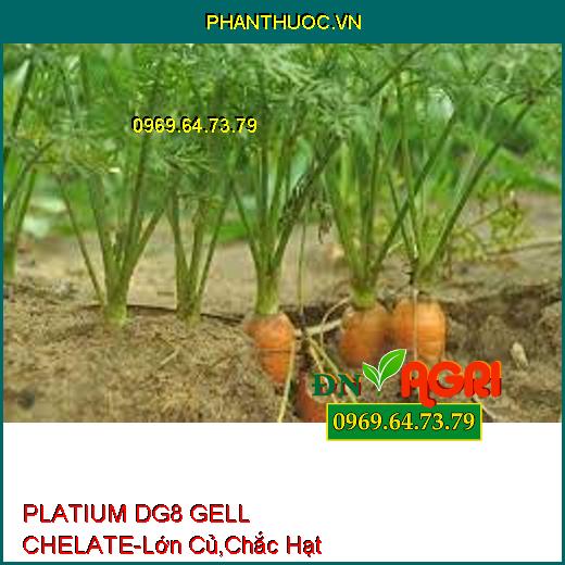 PLATIUM DG8 GELL CHELATE-Siêu Lớn Củ, Cứng Dây, Chắc Hạt, Chín Sớm