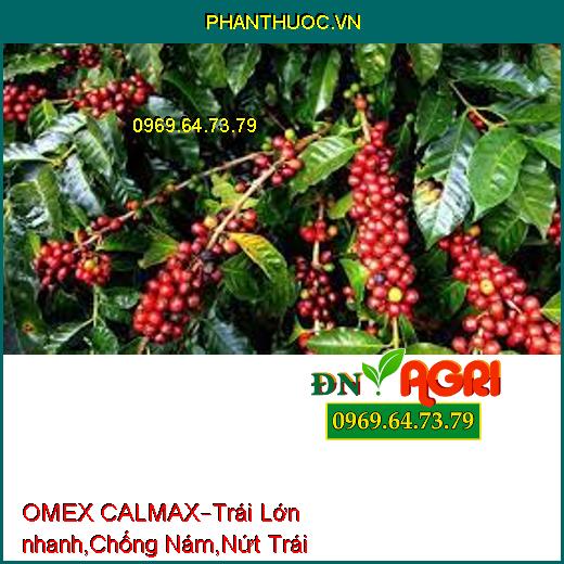 PHÂN BÓN LÁ OMEX CALMAX –Trái Lớn nhanh, Nặng Ký, Chống Nám Trái, Nứt Trái