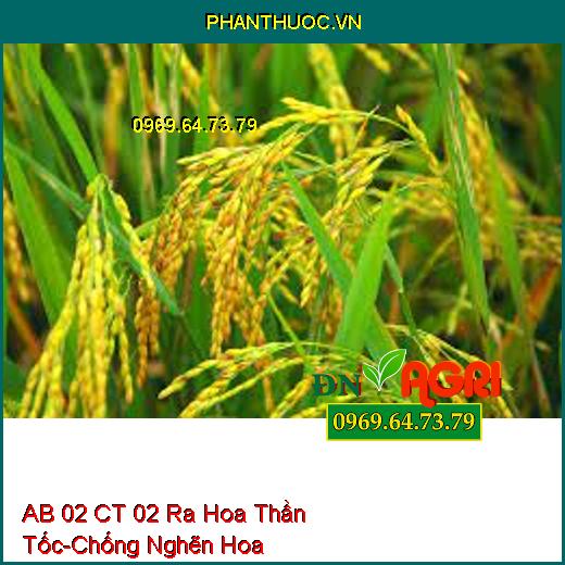 AB 02 CT 02 Ra Hoa Thần Tốc-Chống Nghẽn Hoa, Tăng Khả Năng Thụ Phấn