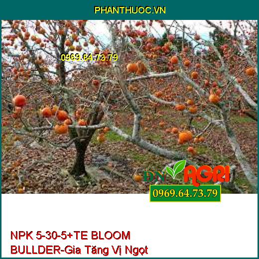 NPK 5-30-5+TE BLOOM BULLDER-Phân Hóa Mầm Hoa, Gia Tăng Vị Ngọt, Phẩm Chất