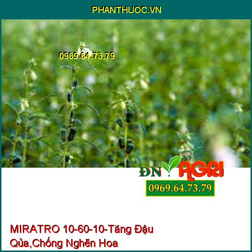 MIRATRO 10-60-10-Tăng Đậu Qủa, Hạ Phèn, Chống Nghẽn Hoa, Rễ Phát Triễn Nhanh