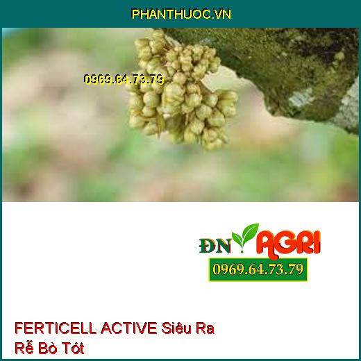 FERTICELL ACTIVE Siêu Ra Rễ Bò Tót-Kích Thích Hạt Nảy Mầm, Cứng Cây, Chống Ngã