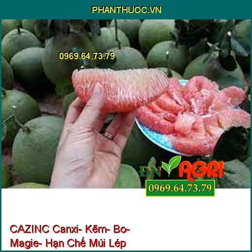 CAZINC Canxi- Kẽm- Bo- Magie- Hạn Chế Múi Lép, Sượng Trái, Tăng Đậu Trái