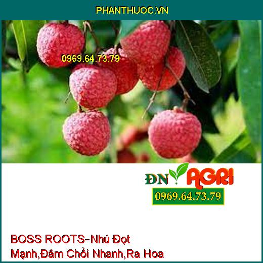 BOSS ROOTS –Nhú Đọt Mạnh, Đâm Chồi Nhanh, Giải Độc Phèn , Tăng Ra Hoa, Đậu Trái