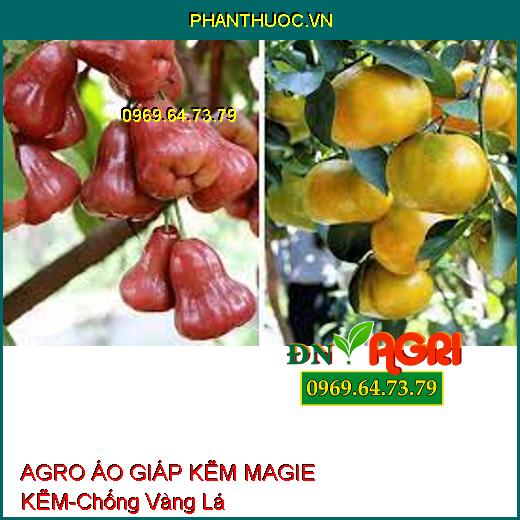 AGRO ÁO GIÁP KẼM MAGIE KẼM-Chống Hiện Tượng Vàng Lá, Rụng Trái, Tăng Năng Suất