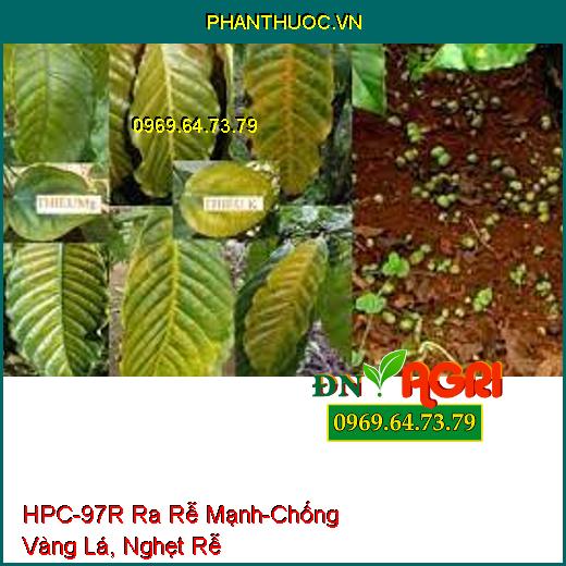 HPC-97R Ra Rễ Cực Mạnh-Chống Vàng Lá, Nghẹt Rễ, Dùng Giâm, Chiết Cành, Ra Rễ