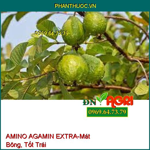 AMINO AGAMIN EXTRA-Tăng Độ Màu Mỡ, Năng Suất, Xử Lý Bệnh Hại, Mát Bông, Tốt Trái