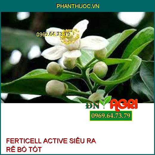 FERTICELL ACTIVE SIÊU RA RỄ BÒ TÓT –Tăng Trưởng Nhanh, Năng Suất, Ngừa Thối Rễ